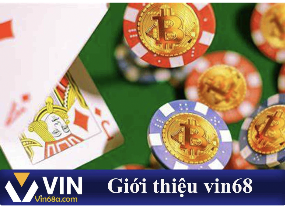 vin68--thuong-hieu-noi-bat-khong-the-bo-qua-2024-753