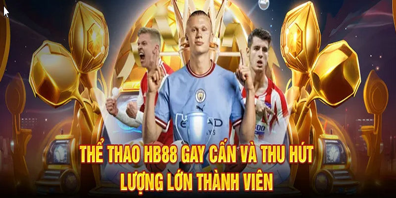 the-thao-hb88-san-thuong-cuc-khung-voi-bang-keo-da-dang-1174