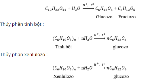 hinh-anh-hay-neu-nhung-tinh-chat-hoa-hoc-giong-nhau-cua-saccarozo-tinh-bot-va-xenlulozo-viet-phuong-trinh-hoa-hoc-neu-co-3987-0