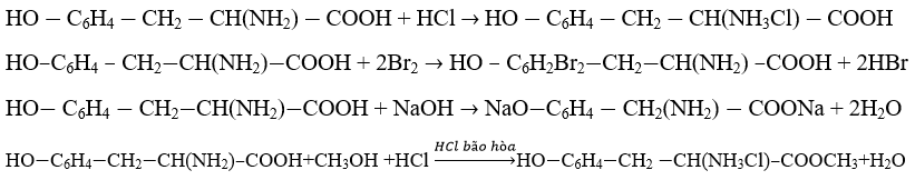 hinh-anh-viet-cac-phuong-trinh-hoa-hoc-cua-phan-ung-giua-tirozin-hoc6h4-ch2-chnh2-cooh-voi-cac-hoa-chat-sau-a-hcl--b-nuoc-brom-c-naoh-d-ch3ohhclhoi-bao-hoa-4016-0