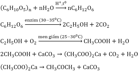 hinh-anh-viet-cac-phuong-trinh-hoa-hoc-theo-so-do-chuyen-doi-sau-day--xenlulozo--glucozo--ruou-etylic--axit-axetic--canxi-axetat--axeton-7573-0