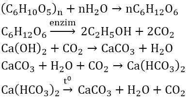 hinh-anh-cho-m-gam-tinh-bot-len-men-thanh-ancol-etylic-voi-hieu-suat-78-toan-bo-luong-co2-sinh-ra-duoc-hap-thu-hoan-toan-vao-dung-dich-caoh2-thu-duoc-350-gam-ket-tua-va-dung-dich-x-dun-ky-dung-dich-x-them-duoc-100-gam-ket-tua-tinh-khoi-luong-tinh-bot-da-su-dung-7592-0