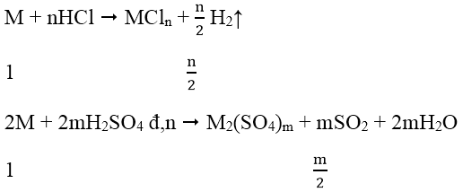 hinh-anh-khi-cho-cung-mot-luong-kim-loai-m-tac-dung-voi-dung-dich-hcl-va-h2so4-dac-nong-thi-khoi-luong-so2-sinh-ra-gap-48-lan-h2-sinh-ra-mat-khac-khoi-luong-muoi-clorua-bang-3175-khoi-luong-muoi-sunfat-7627-0