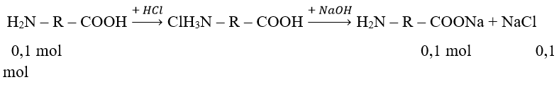 hinh-anh-cho-amino-axit-x-tac-dung-vua-du-voi-166-ml-dung-dich-hcl-20-d--11-gml-thu-duoc-muoi-y-y-tac-dung-vua-du-voi-400-ml-dung-dich-naoh-05m-thu-duoc-dung-dich-z-co-can-can-than-dung-dich-z-thu-duoc-1555-gam-muoi-khan-tim-x-7866-0