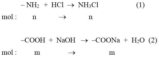 hinh-anh-cho-1-mol-amino-axit-x-phan-ung-voi-dung-dich-hcl-du-thu-duoc-m1gam-muoi-y-cung-1-mol-amino-axit-x-phan-ung-voi-dung-dich-naoh-du-thu-duoc-m2gam-muoi-z-biet-m2-m1--75-tim-cong-thuc-phan-tu-cua-x-7892-0