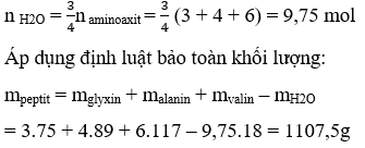 hinh-anh-thuc-hien-tong-hop-tetrapeptit-tu-30-mol-glyxin-40-mol-alanin-va-60-mol-valin-biet-phan-ung-xay-ra-hoan-toan-tinh-khoi-luong-tetrapeptit-thu-duoc-7939-0