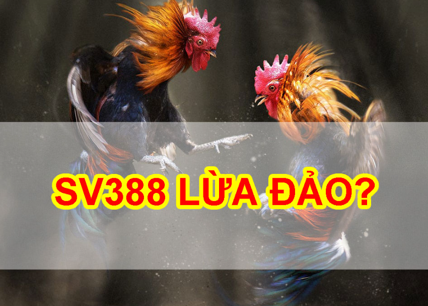 hinh-anh-tin-don-nha-cai-sv388-lua-dao-lieu-co-dung-hay-khong-41-2