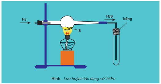 hinh-anh-bai-43-luu-huynh-301-3