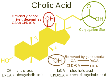 hinh-anh-acid-mat--297-2