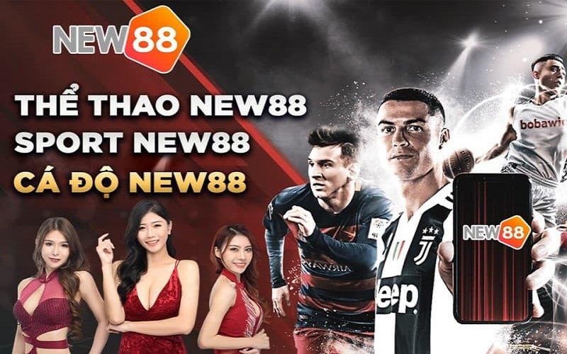 hinh-anh-top-cac-loai-keo-the-thao-new88-hot-nhat-danh-cho-cuoc-thu-612-0