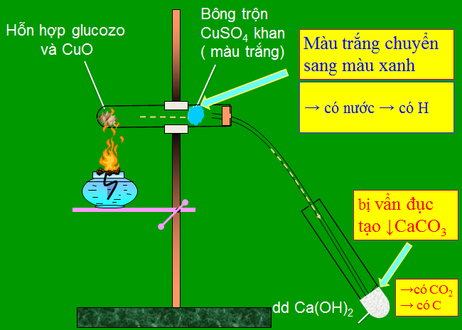 hinh-anh-chuong-4-dai-cuong-ve-hoa-hoc-huu-co-185-2