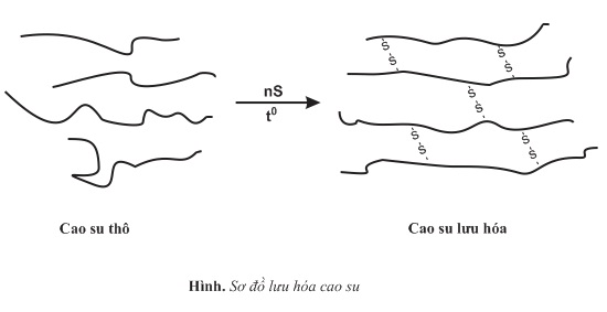 hinh-anh-bai-17-vat-lieu-polime-383-9