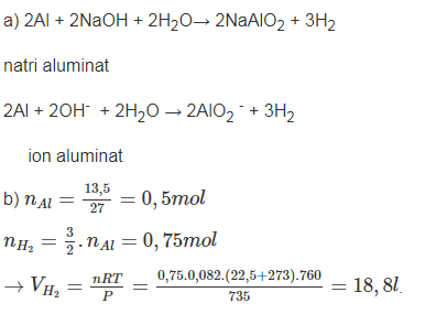 hinh-anh-cho-135-g-al-vao-dung-dich-naoh-nong-lay-du-a-viet-phuong-trinh-hoa-hoc-cua-phan-ung-duoi-dang-phan-tu-va-ion-thu-gon-b-tinh-the-tich-khi-h2bay-ra-o-735-mmhg-va-225c-4057-0
