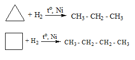 hinh-anh-bai-26-xicloankan-191-2