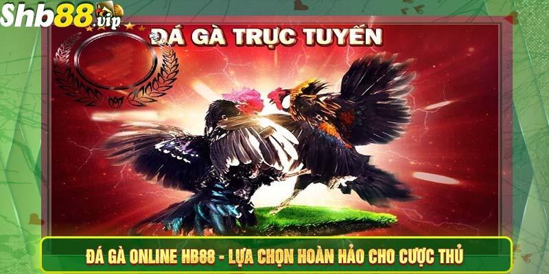 hinh-anh-da-ga-online-hb88-san-gioi-giai-tri-kich-tinh-da-dang-1553-0