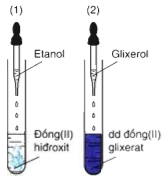 hinh-anh-bai-40-ancol-205-7