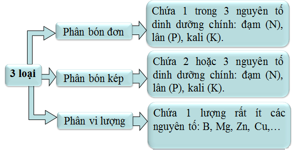 hinh-anh-bai-32-luyen-tap-cau-truc-phan-tu-hop-chat-huu-co-340-0