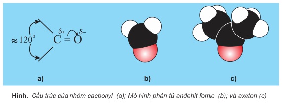 hinh-anh-chuong-9-bai-58-andehit-va-xeton-367-1