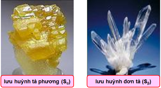 hinh-anh--bai-30-luu-huynh-157-0