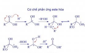 hinh-anh-phan-ung-este-hoa-258-0