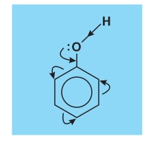 hinh-anh-bai-55-phenol-363-5