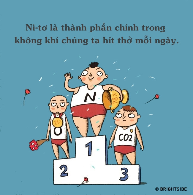 hinh-anh-su-that-thu-vi-ve-nitrogen-13-0