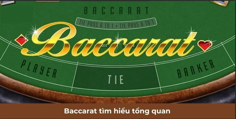 hinh-anh-ku-casino-mang-den-trai-nghiem-tuyet-voi-cho-hoi-vien-1320-2